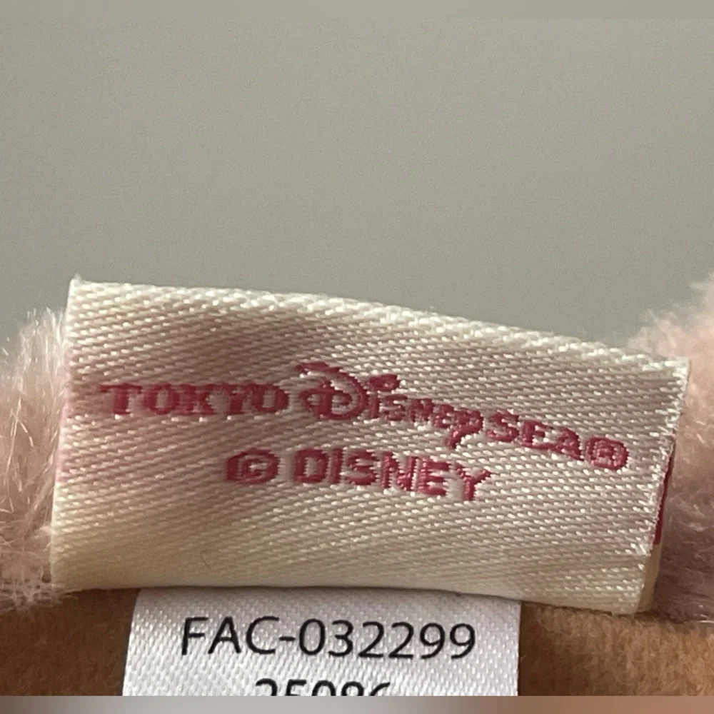 Tokyo Disney tokyo disney